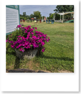 golf blumen bit